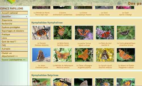 Aide à l'identification des papillons -- 05/10/08