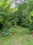 Visite des jardins de Moulin Neuf -- 29/06/08