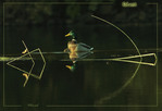 Colvert -- 04/10/08